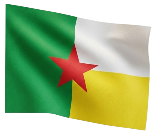 Party Flag